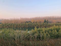 -西安汉城湖景区