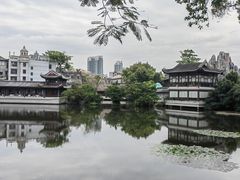 -荔湾湖公园