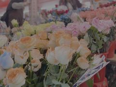 -越秀西湖花市(广州城市广场花卉店)