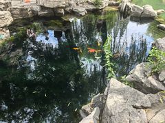 -老济南·济南菜(大明湖店)