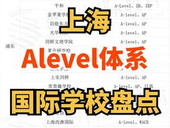 -菠萝国际教育专注Alevel·IGCSE·IB·AP·托福雅思培训辅导(静安校区)