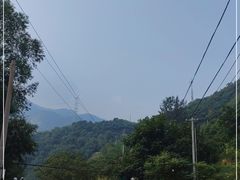 -大岭沟猕猴桃谷风景区