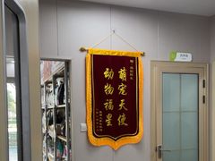 -瑞鹏宠物医院·骨外科·心肾科·肿瘤科(九亭店)
