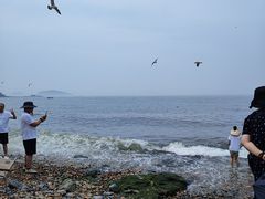 -银沙滩浴场