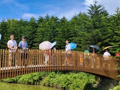 -迪茵湖田家舍生态农场