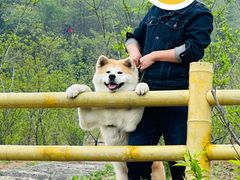 -冶父山国家森林公园