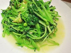 腐皮鸡毛菜-冶春茶社(官园桥店)