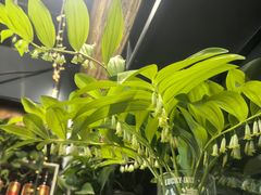 -遇见小院—虹鳟鱼•农家菜(怀柔店)