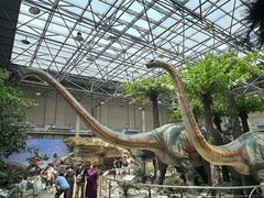 -国家自然博物馆