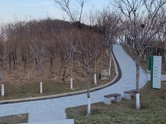 -河北省园博园