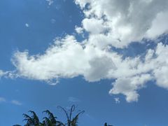 -迎泽公园