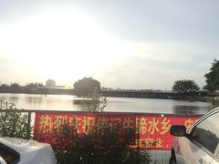 伟记牛蹄-伟记牛蹄(道滘店)
