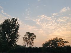 -汉长安城未央宫国家考古遗址公园