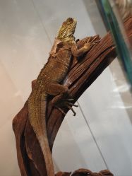 -Zoolung Zoolung动物主题公园(海信广场店)