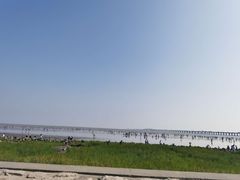 -南汇新城海滩