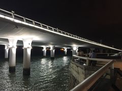 -演武大桥观景平台