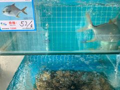 水产区-琼大师东方烤乳猪(亚特兰蒂斯店)