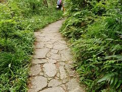 -青龙山国家森林公园