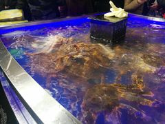 海鲜区-盒马鲜生(莱蒙都会店)