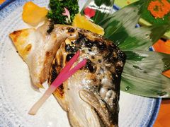 盐烤三文鱼头-文三酒肆自助放题(新街口友谊广场店)