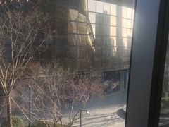 -油梨树AVOCADO TREE(望京店)