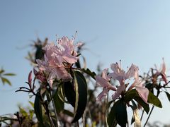 -红花湖景区