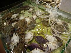 -悦巷海鲜自助铁板烧(秦皇东大街店)