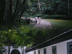 -虎跑公园