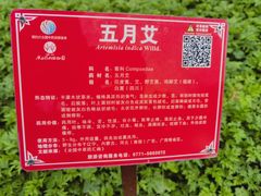 -广西壮族自治区药用植物园