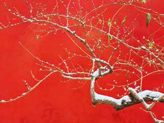 -北京市劳动人民文化宫(太庙)