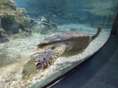 -福州罗源湾海洋世界旅游区