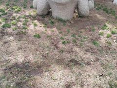 -长春世界雕塑园