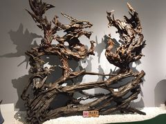 -吉林市博物馆