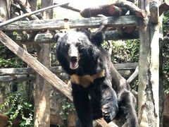 -长鹿旅游休博园