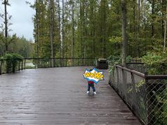 -黄海国家森林公园