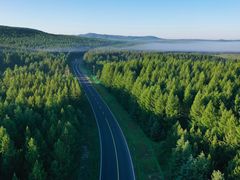 -塞罕坝国家级自然保护区