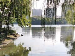 -杭州城北体育公园