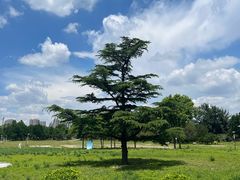 -太阳宫公园