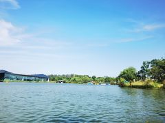 -上海长兴岛郊野公园