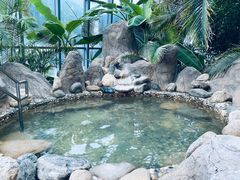 -瑞阁温泉酒店温泉中心