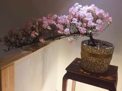 -崇英经络足疗(曲江店)