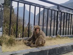 -白帝城·瞿塘峡景区