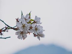 -杭州少年儿童公园