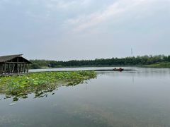 -溱湖国家湿地公园