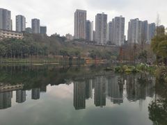 -重庆彩云湖湿地公园