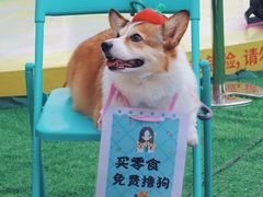 -IPARK购物中心