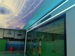 -金色雨林学习力培优(专注力提升)