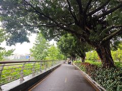 -立新湖公园