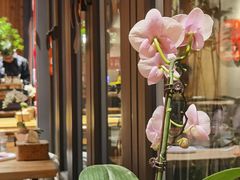 -四喜小胖·北京涮肉(五道营店)