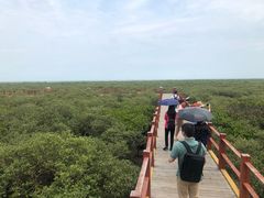 -北海金海湾红树林生态旅游区